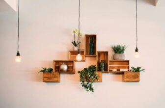 What Are the Best Indoor Plants for Interior Design?
